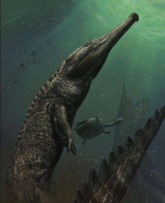 比恐鳄更加庞大的鳄鱼 除了恐鳄之外这世上仍有恐怖的