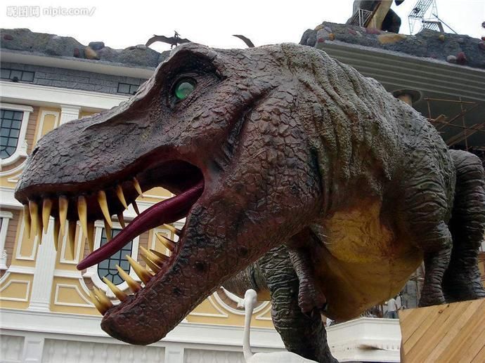 男子路遇"恐龙时代的动物",逼真的有点吓人