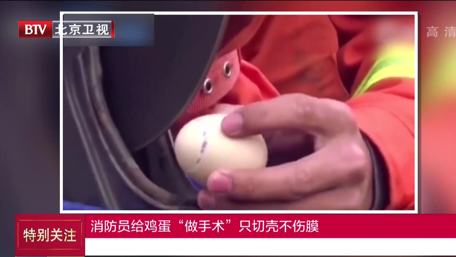 消防员给鸡蛋"做手术" 只切壳不伤膜