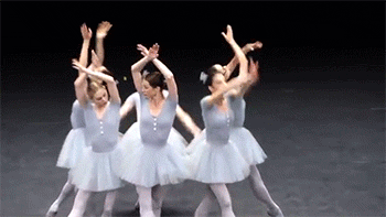 一只迷失了自己的小天鹅