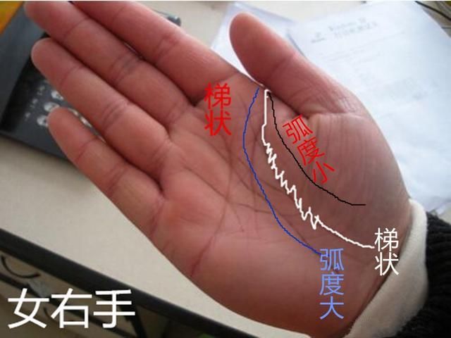 纹路决定出路,一生钱财看手纹,若此处大分叉,50岁后必