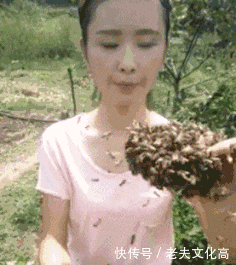 姑娘你好厉害,马蜂窝都敢吃