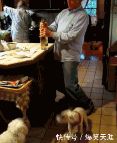 精选内涵段子 1.