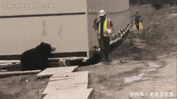 好像看了个假的兵马俑