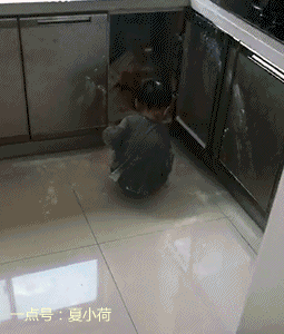 搞笑gif:提醒各位吃货吃自助一定要悠着点,不然男朋友