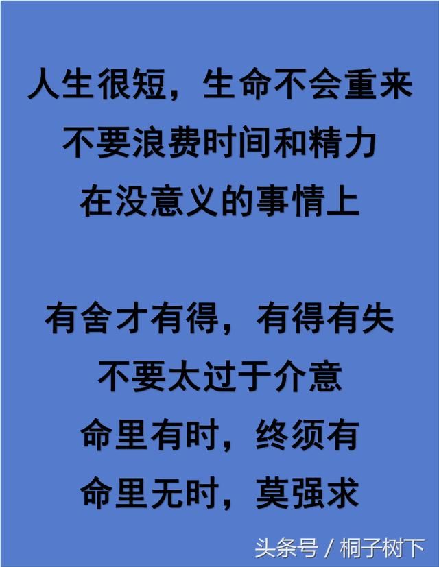 晚上睡不着,一定要打开看看,人这一辈子,到底图个啥呢