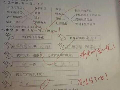 小学生奇葩思维写出雷人作文,老师看完给满分并说"天才服你!