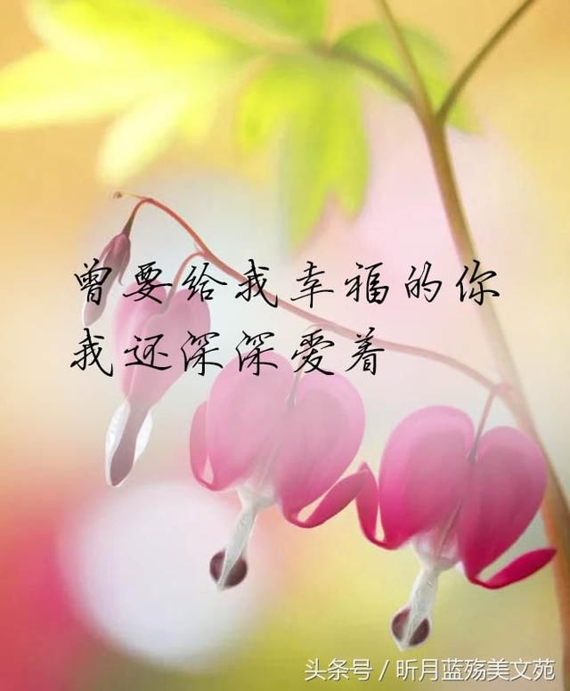 你我渐行渐远,一别就是一世