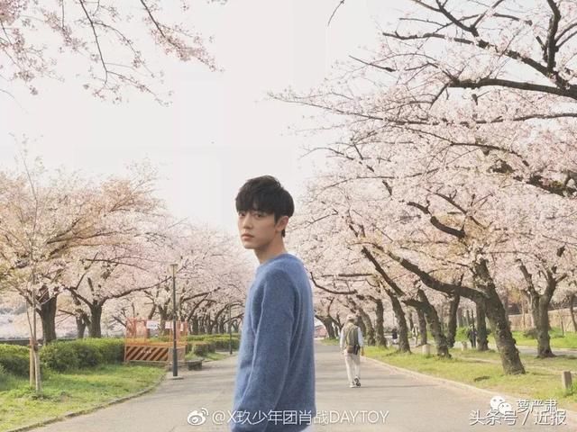 肖战就是大家都爱看的那种小言男主,无论是樱花树下的温柔回眸.