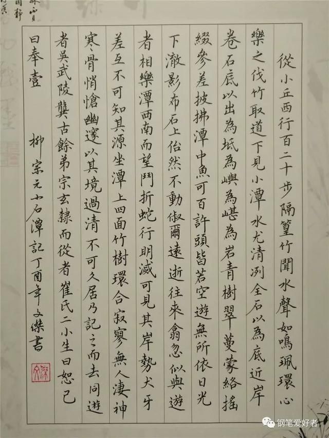 每周一篇钢笔字,柳宗元《小石潭记》手写钢笔字笔友习作欣赏