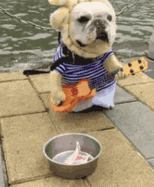 段子:保证打得你粉碎性骨折 ,在街上看美女,目光高一点就是欣赏,目光