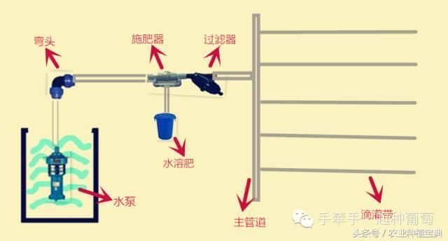 太有用了!葡萄园滴灌系统的搭架及预算