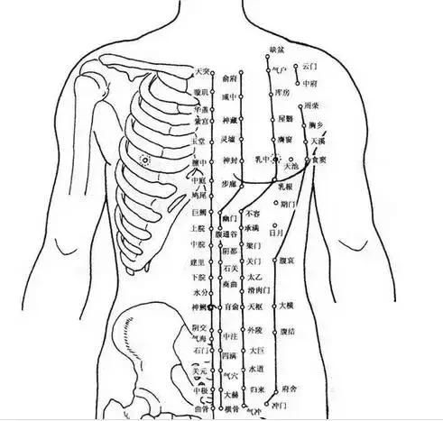 超详细全体男女经络穴位图集