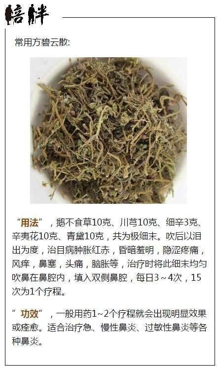 鼻炎,鼻窦炎,过敏性鼻炎,一把小草每天闻一闻,治一个好一个!