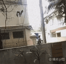 搞笑gif:蛋疼gif集合,笑到你抽筋!