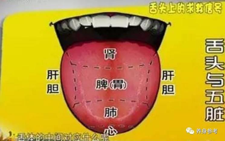 正常的舌头有两个指标,一个是舌头的颜色,一个是舌头的厚度和大小
