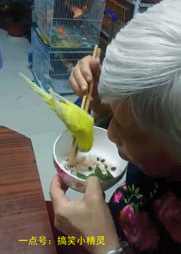 搞笑gif: 大哥,你这掏钱方式会让小姐姐很尴尬的