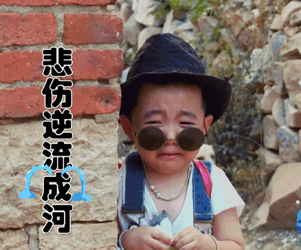 萌娃 萌宠,《小手牵小狗》带来了爆笑,更带来了成长的