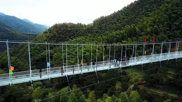 义乌踏青去哪儿?大陈一日游,带你赏花,走栈道,领略最美春日风景