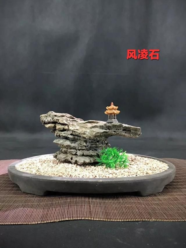 石头盆景艺术,植物石头融合视觉璀璨盛宴,山水盆景,盆景之石头