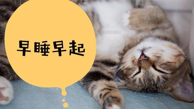 早睡早起的好处是毋庸置疑的,积极废人式养生的人通常每晚都会立志明