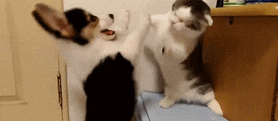 一天,他在黑板上书写时用力过猛,偶放一响屁,惹得同学们哄堂大笑.