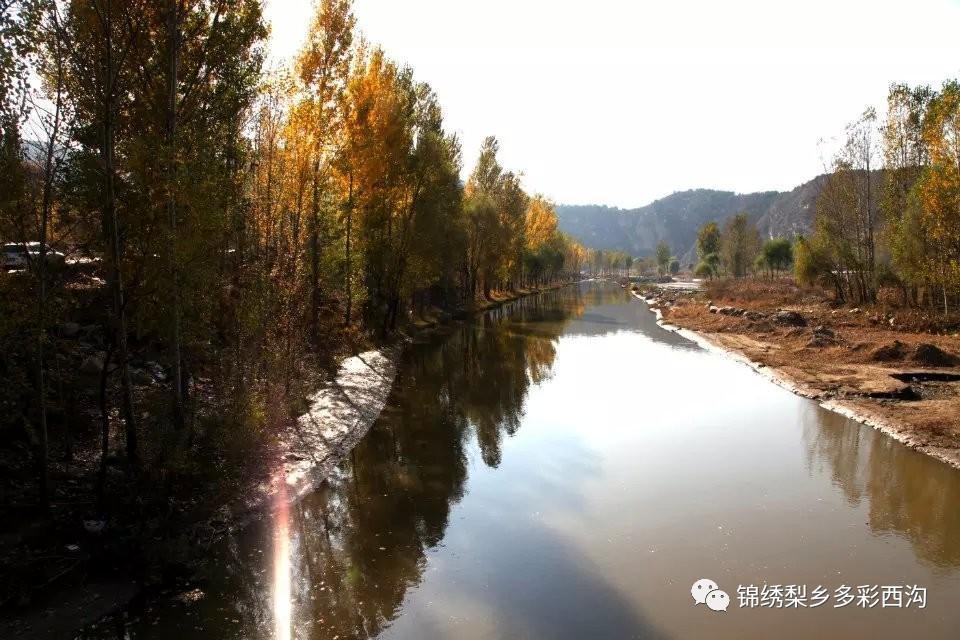 在滦平西沟乡有这样一种美食,连神仙都闻名而来,吃过赞不绝口~没吃过