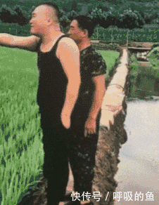 实力坑爹!