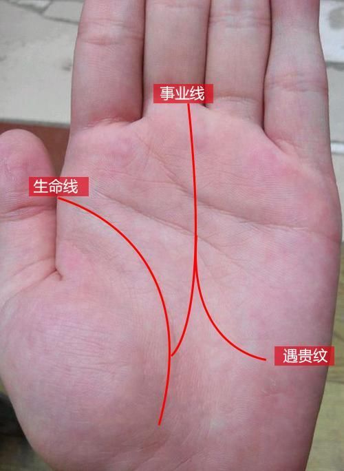 二,手相带有豪宅纹