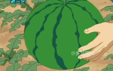 哦,原来西瓜霜是这么来的!