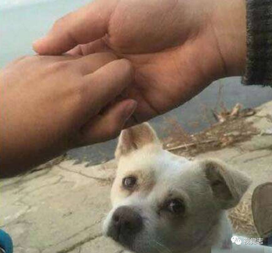 周末逛街 ▼ 单身狗表示受到了成吨的伤害 在家推开窗 ▼ 单身狗