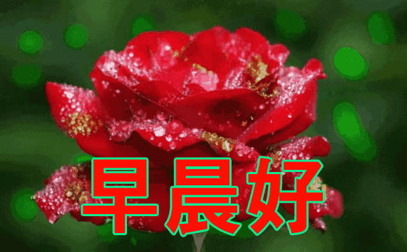 早上好问候语 早上好表情动态