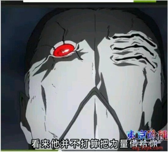 只不过ccg傻逼一直以为店长是独眼之枭而已,实际上店长是"不杀的枭"