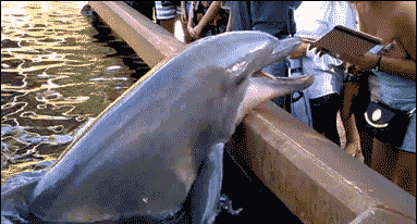 我让你拍我了吗?