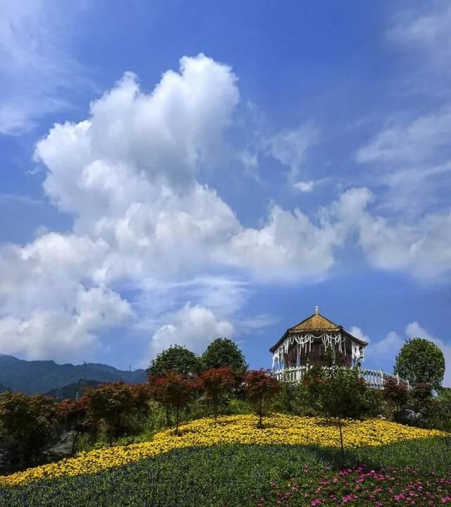 云淡风轻近午天,傍花随柳过前川.