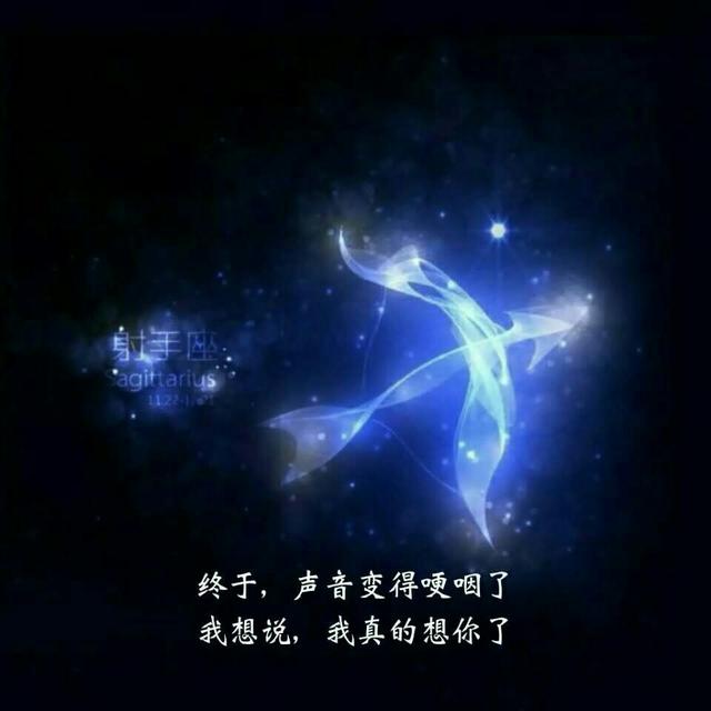 射手座:终于,声音变得哽咽了,我想说,我真的想你了