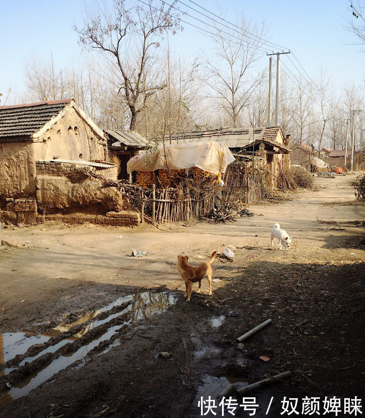 实拍真实的鲁西南农村,想不到山东竟有如此贫穷的村庄
