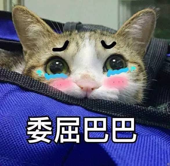 七夕将至花式查岗 剁手党一天网购八次快递给男友只为