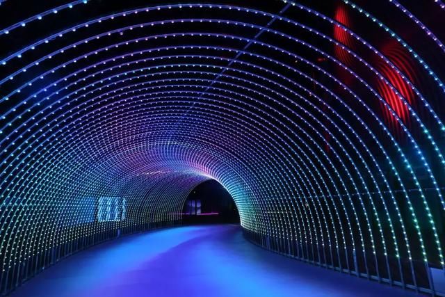 国内最长的灯光隧道,总长约100米.