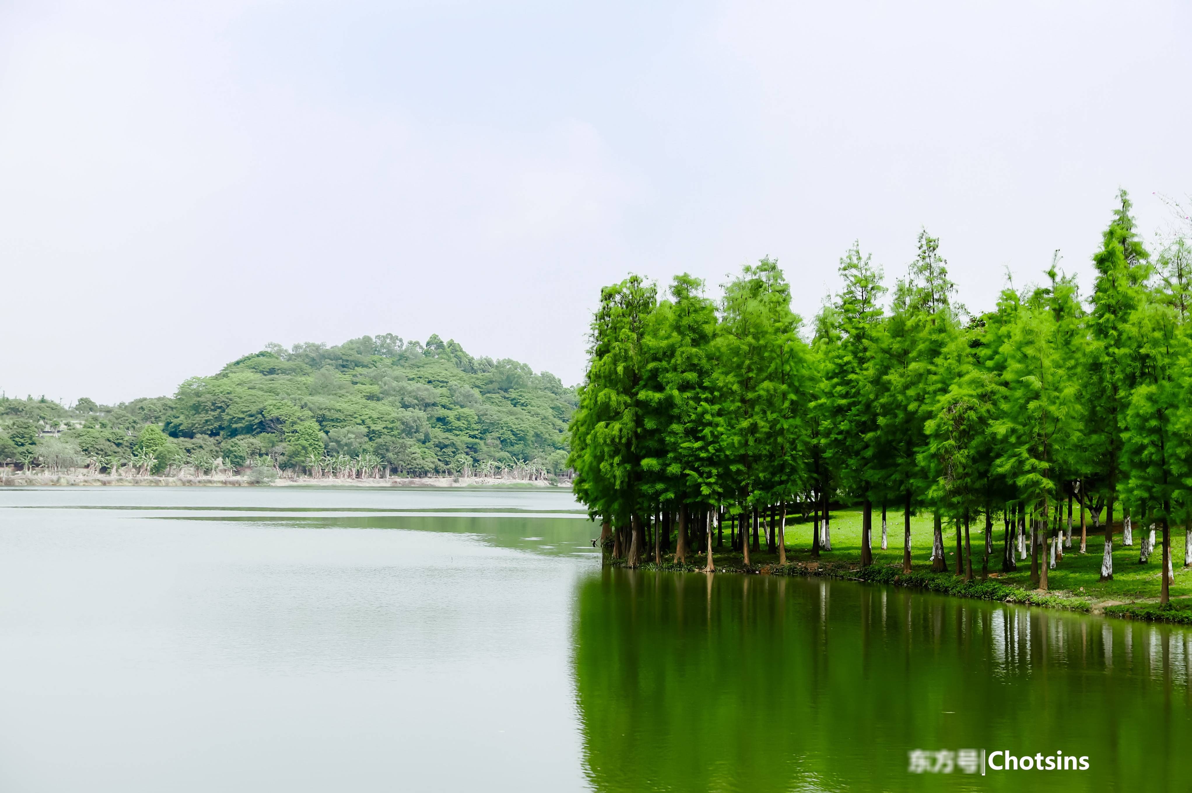东莞松山湖小清新旅行摄影