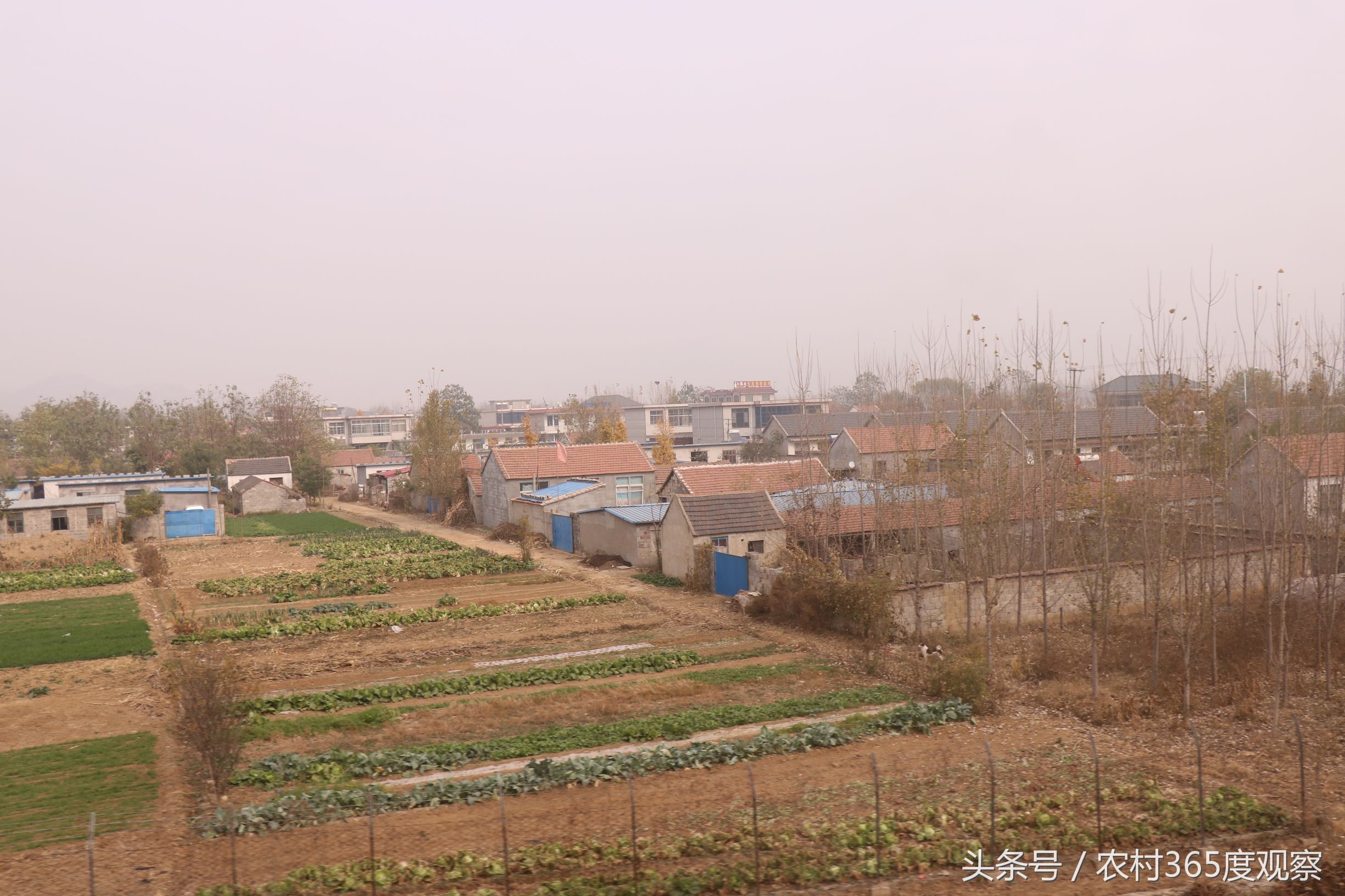 山东省临沂市费县农村