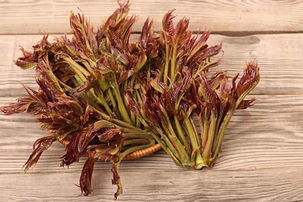 香椿具有除热,解毒,止血,杀虫等功效,抗氧化性在亚洲蔬菜中排第一.