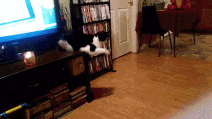 搞笑gif:笑了吗?大爷能不能别这么逗-北京时间
