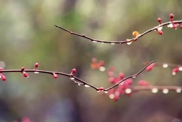 古人用"十年",写尽人世沧桑!