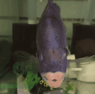 谁有大胆的想法?