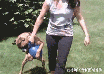 搞笑gif图:公司新来的女职员,本想辞职我都不想了!