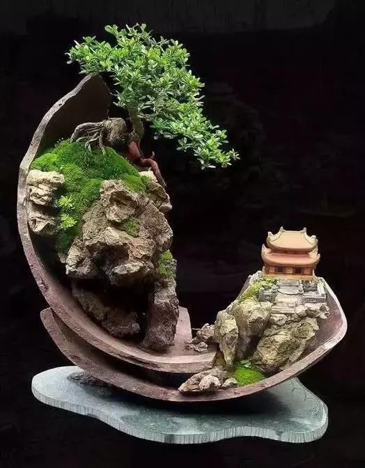 世界上最贵盆栽送给你,一盆就是一座房子