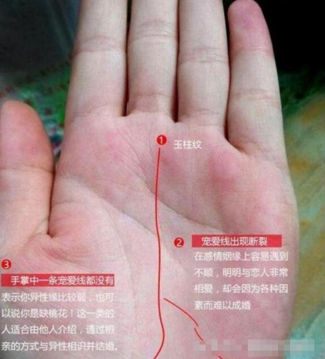 "这种"手相你看过吗?一辈子多子多福,羡慕吗?