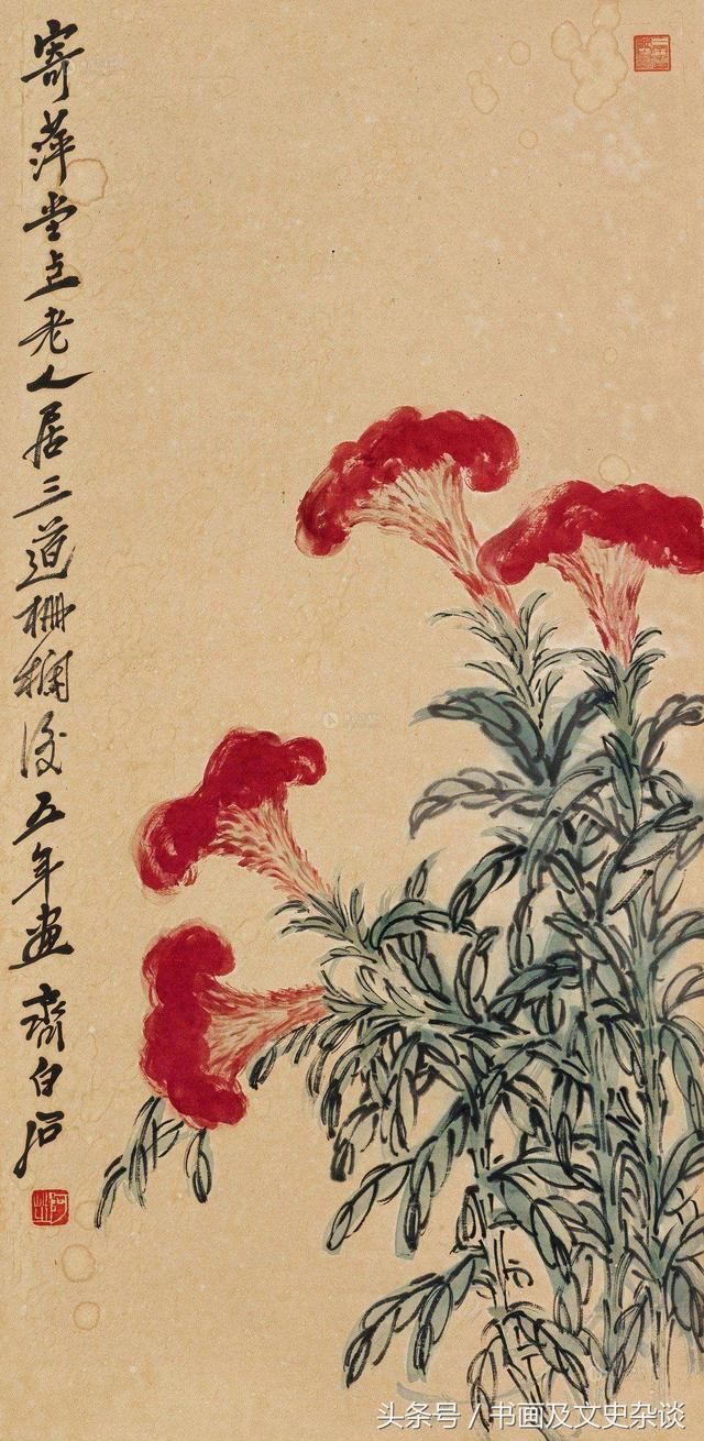 书画杂谈:一唱雄鸡天下白国画鸡冠花作品选