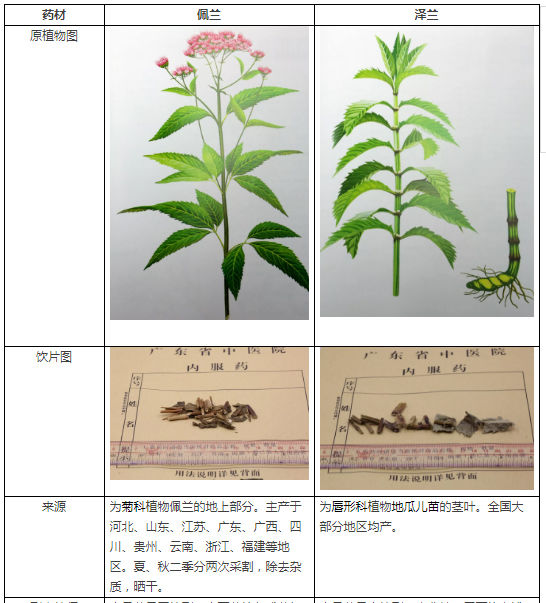 泽兰为较常用中药,始载《神农本草经》,列中品,古代与佩兰(兰草)已有